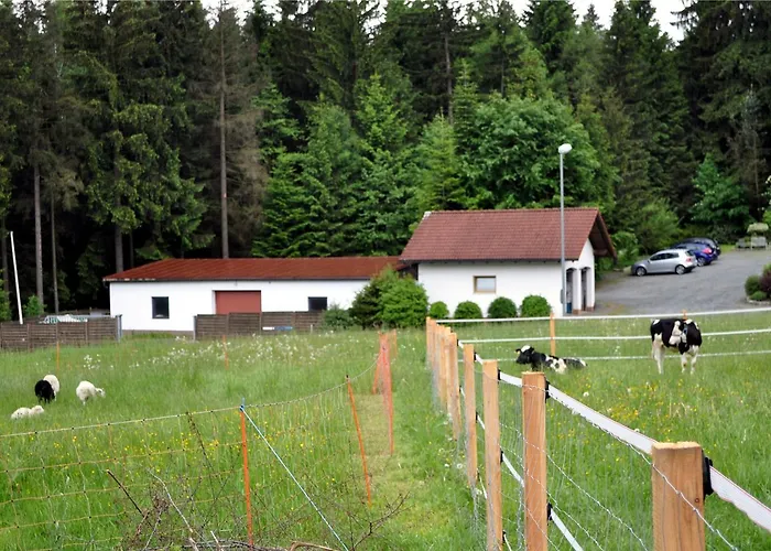Vakantiehuis Mueller